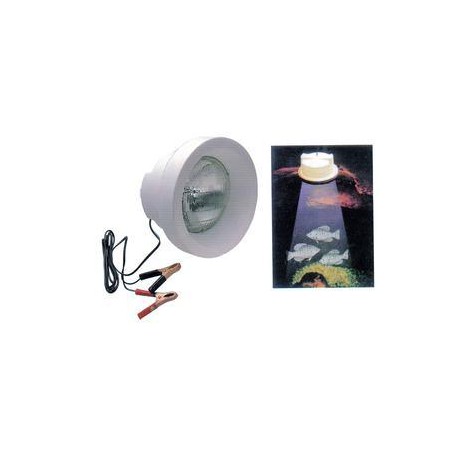 Lampada Galleggiante A Tenuta Stagna 50 W 12 V