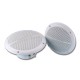COPPIA ALTOPARLAN100WATT