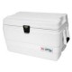Igloo 36Qt