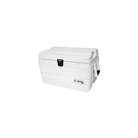 Igloo 36Qt