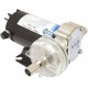 POMPA JABSCO GEAR PUPPY 24V