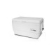 igloo 45Qt