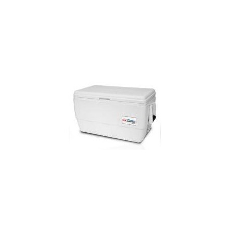 igloo 45Qt